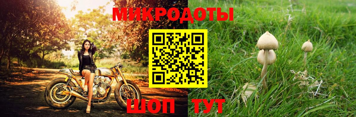Галлюциногенные грибы ЛСД Зерноград