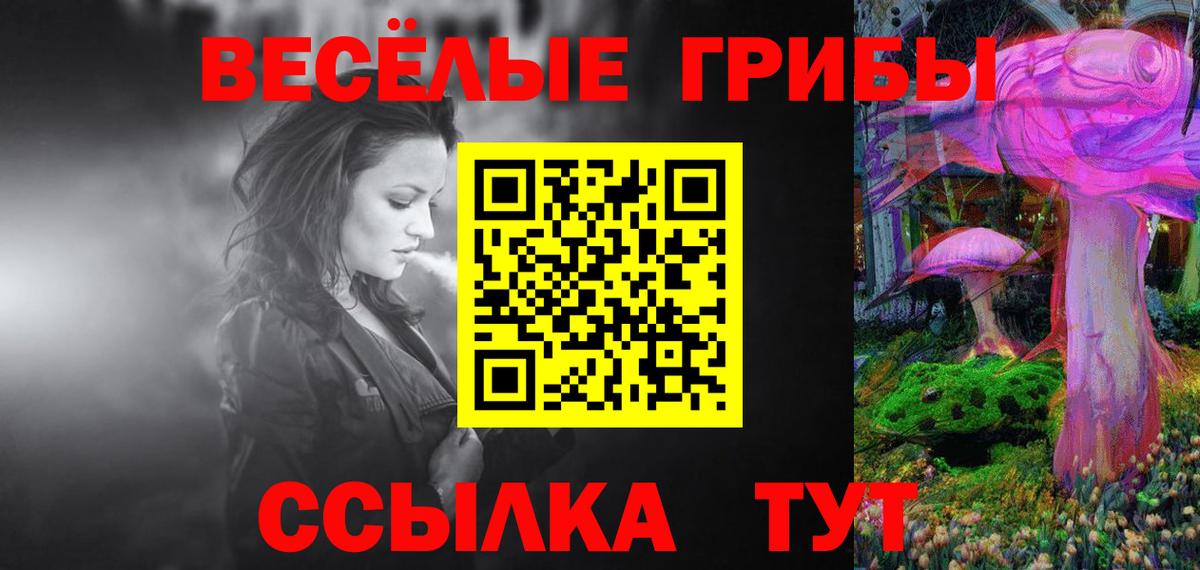 Зерноград  Псилоцибиновые грибы мицелий  купить закладку  Вход с VPN 